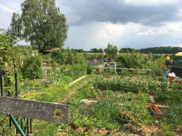 Gartenkalender - Monat